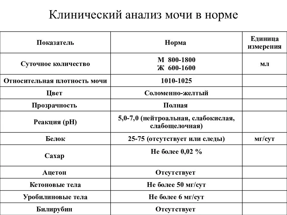 Расшифровка анализа мочи у детей