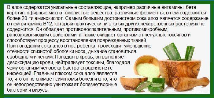 Сок алоэ в нос для детей. как приготовить и применять капли для лечения насморка?