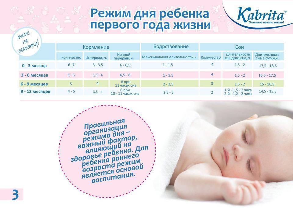 Сколько должен спать ребёнок в 9 месяцев: норма и потребности