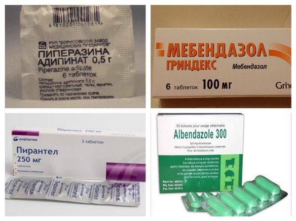 Лечение энтеробиоза у детей: как вылечиться от глистов медикаментозными и народными средствами