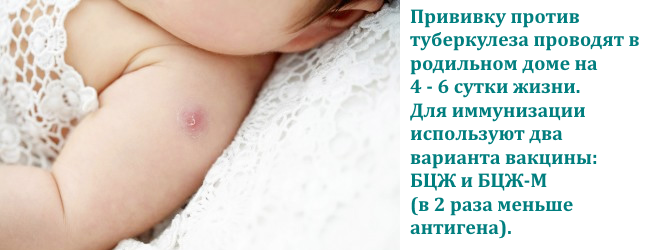 Почему нельзя купать ребенка после прививки: когда можно после АКДС, БЦЖ?