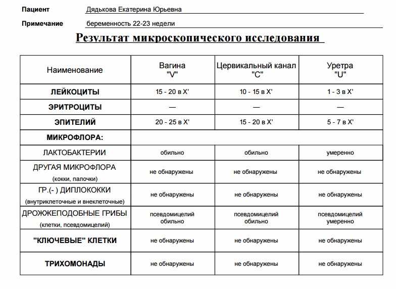 Мазок на флору у женщин - расшифровка результатов, норма и отклонения