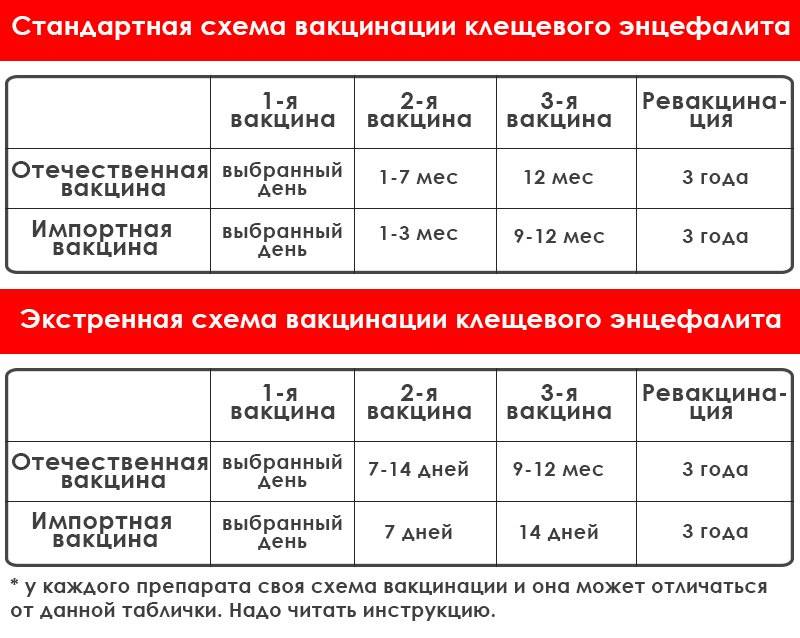 Прививка от клещевого энцефалита ребенку: показания и противопоказания, схема вакцинации