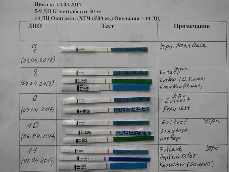 Имплантационное кровотечение: фото на прокладке, на какой день после зачатия
