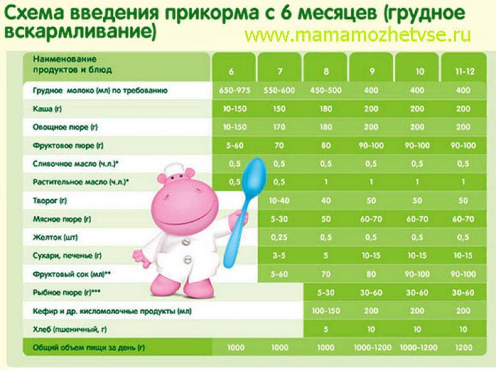 Когда ребенку можно давать хлеб, и какой сорт выбрать: прикорм грудничка до 1 года