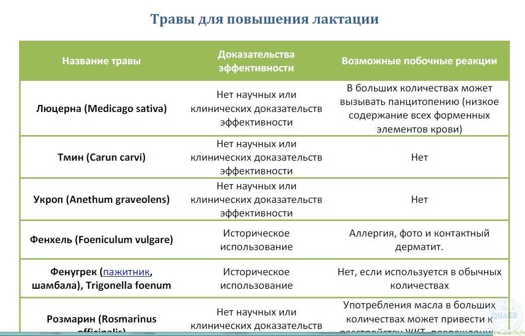 Грудное вскармливание. советы педиатров