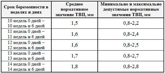 Фетометрия плода: таблицы размеров по неделям, нормы и отклонения