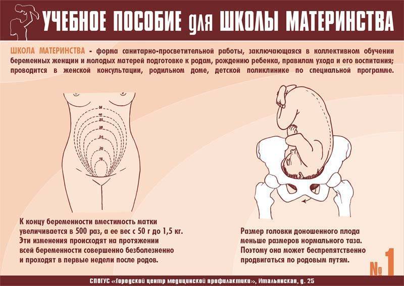 Симфизит. расхождение тазовых костей во время беременности