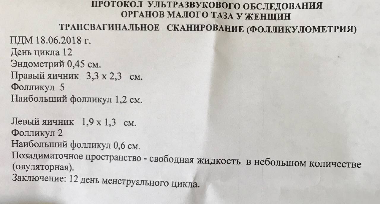 Когда можно заниматься сексом после аборта?