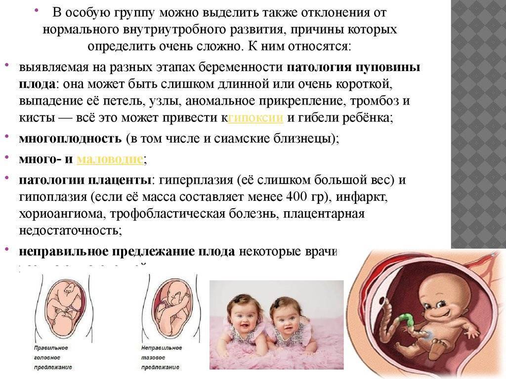 Эхо-кг (эхокардиография) плода
