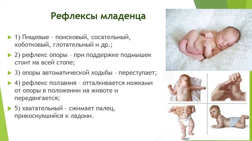 Рефлексы бабинского, галанта, бабкина и моро у новорожденного и таблица по месяцам