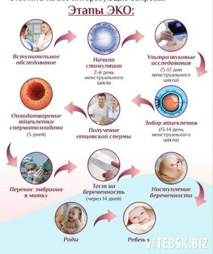 Как происходит перенос эмбрионов после криоконсервации