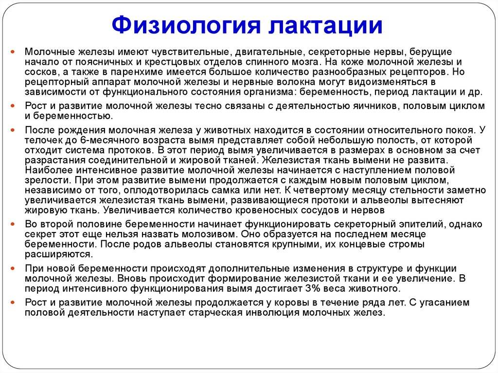 Зрелая лактация | уроки для мам