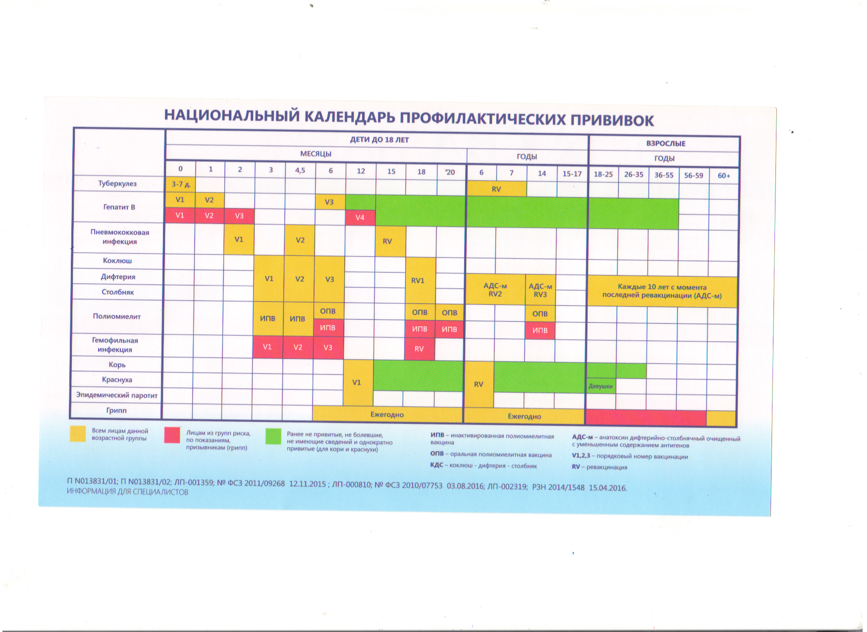 Национальный календарь прививок . специалисты о прививках