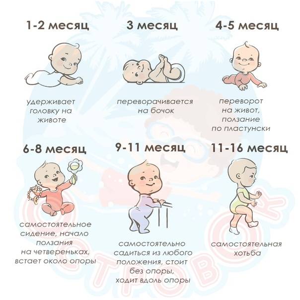 Развитие ребенка 9 месяца жизни. календарь развития