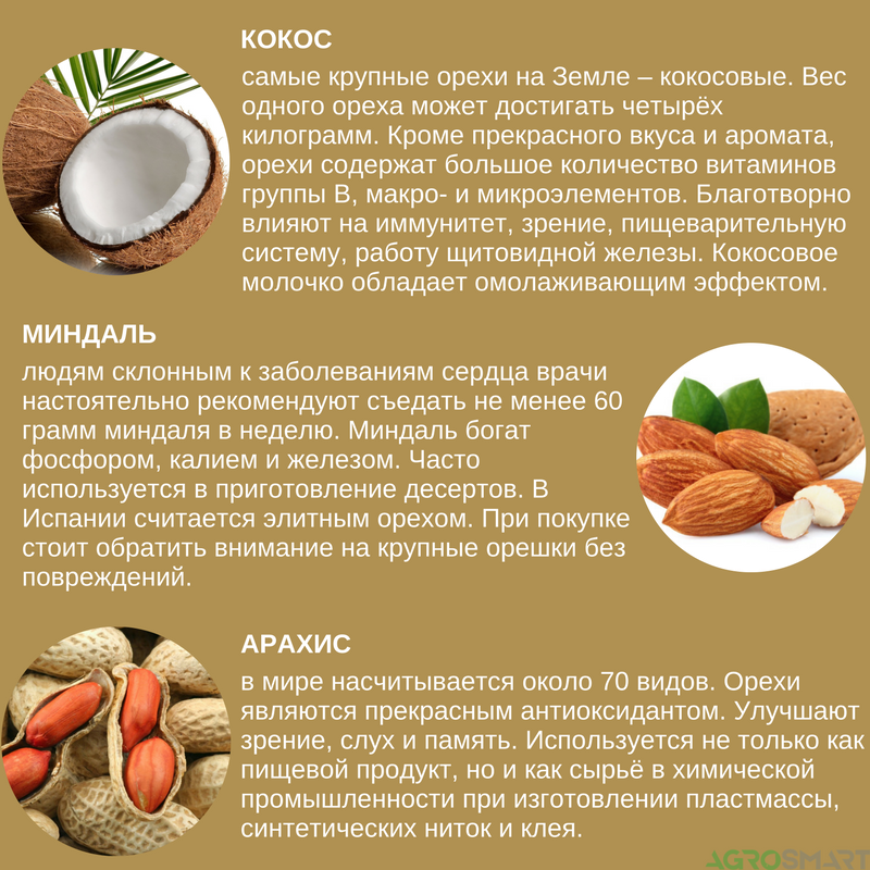 Грецкие орехи при беременности: польза или вред
