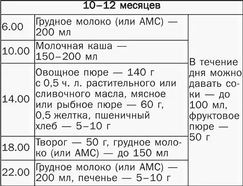 Развитие ребенка в 1 год и 9 месяцев: что должны уметь мальчики и девочки