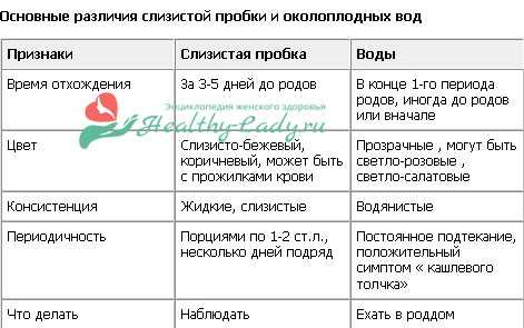 Все о слизистой пробке при беременности