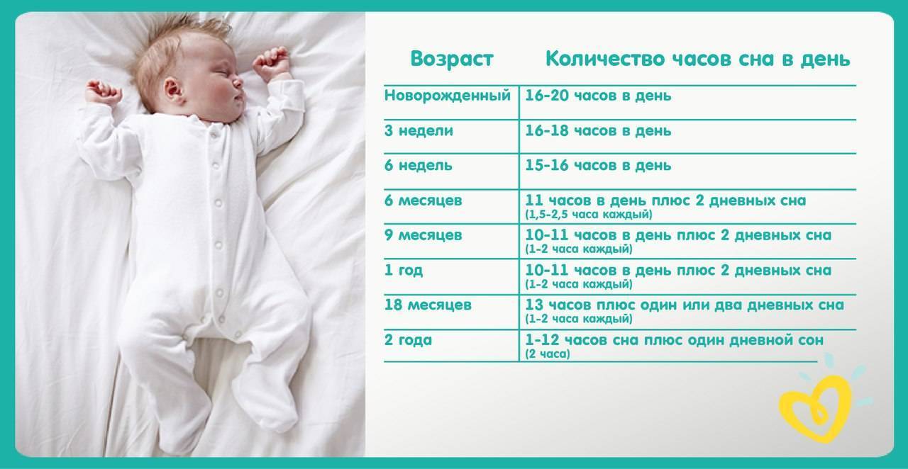Новорождённый много спит: стандарты времени сна для малышей в раннем возрасте