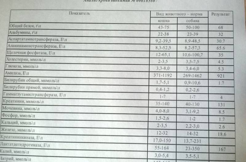 Нормы биохимического анализа крови у детей таблица