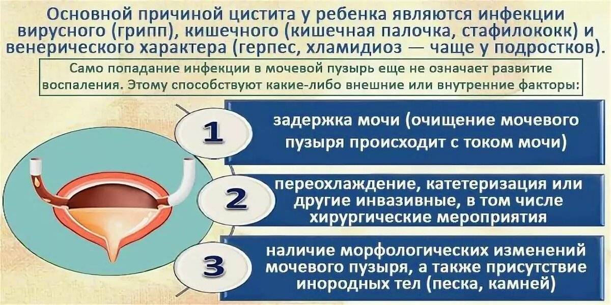 Как распознать симптомы цистита у мальчиков и как потом лечить | prof-medstail.ru