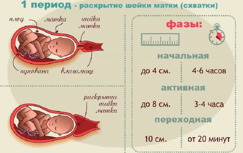Когда ехать в роддом во время схваток?