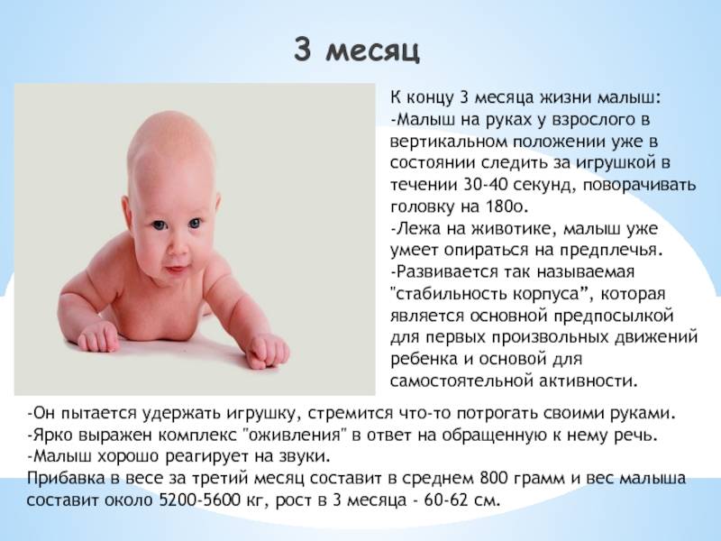 Энциклопедия мам
