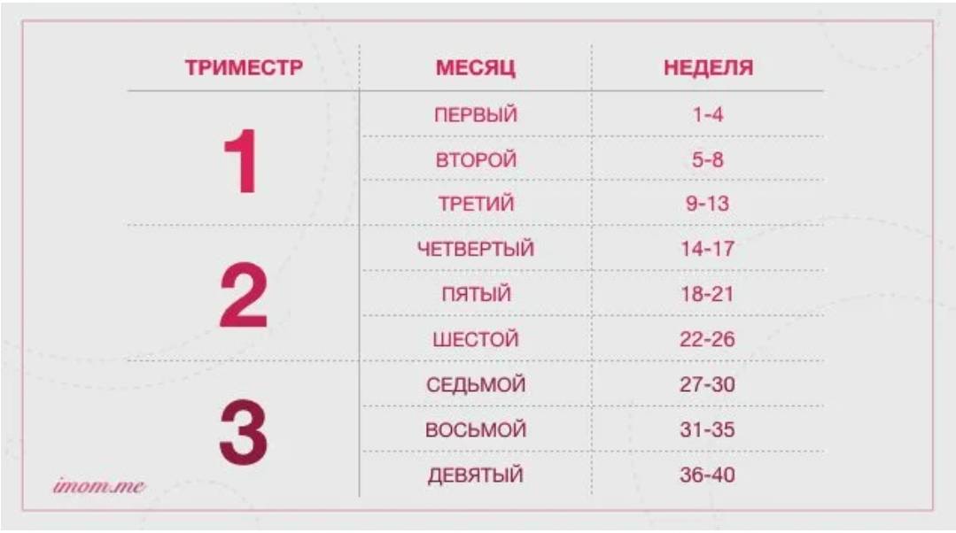 3 скрининг при беременности: сроки узи в третьем триместре, расшифровка и нормы / mama66.ru
