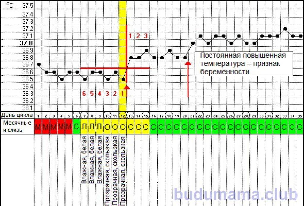 Температура 37 перед месячными — это нормально?