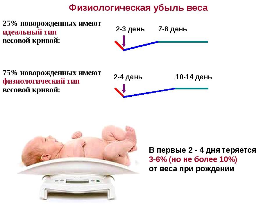 Маловесные дети: как им помочь в развитии?