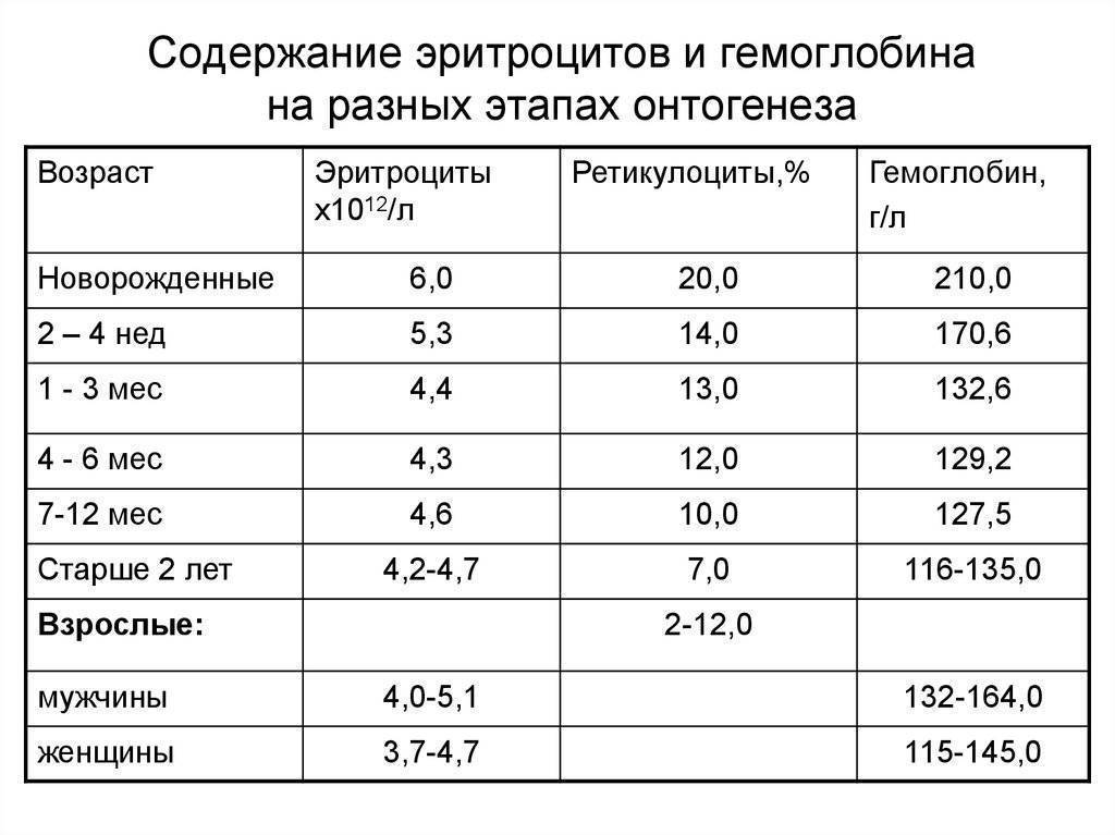 Норма лейкоцитов в крови у ребенка и ее изменения