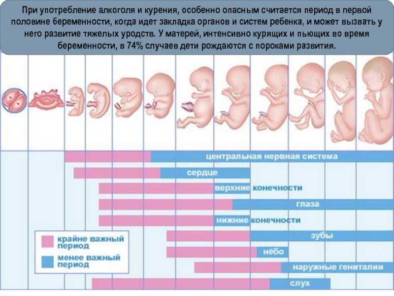 На какой неделе беременности ребенок считается жизнеспособным?