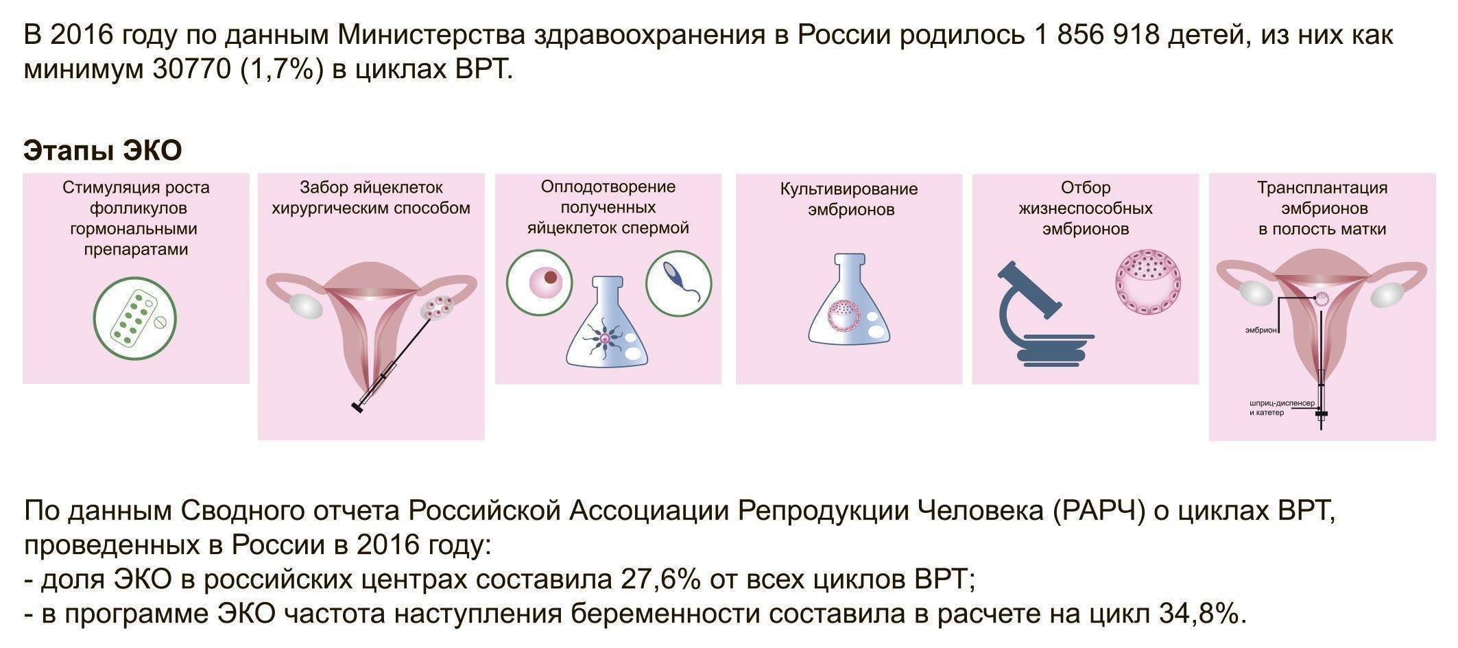 Перенос эмбрионов в полость матки (iv этап программы эко)