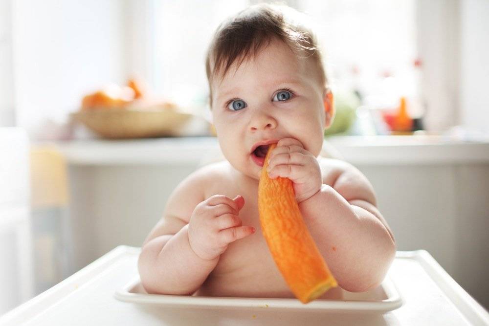 Как научить ребенка жевать твердую пищу: рекомендации родителям