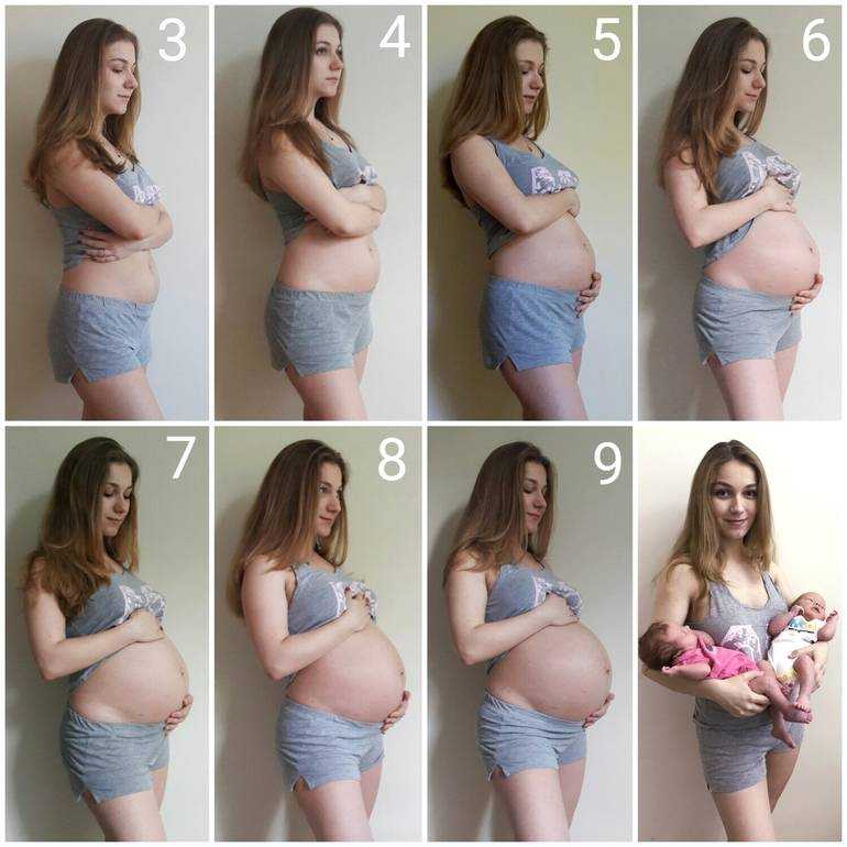 Когда начинает расти живот при беременности?