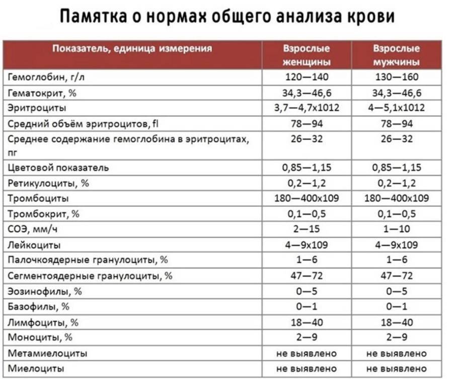 Анализ на антистрептолизин-о (асл-о): показания, расшифровка, подготовка