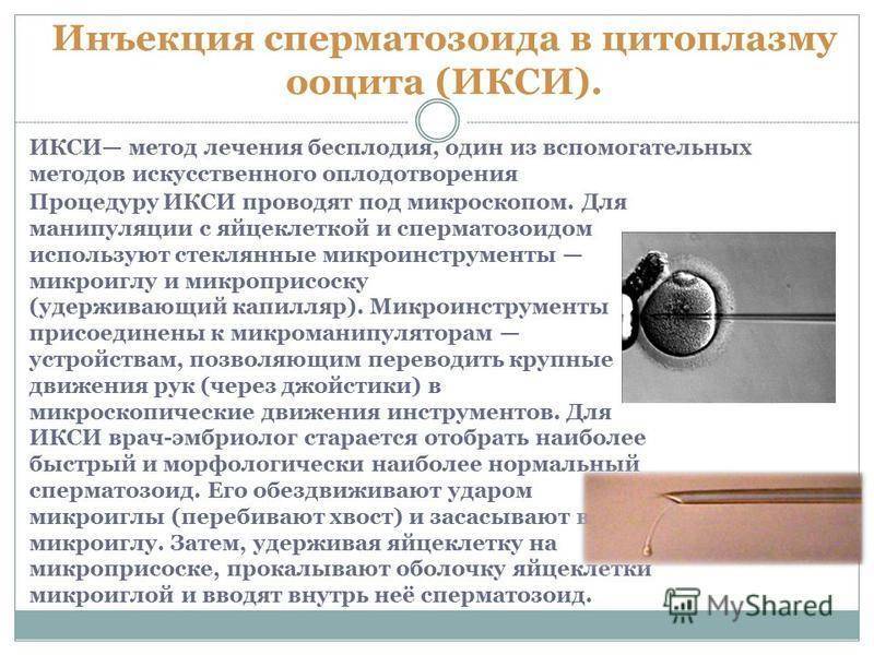 Хэтчинг (хетчинг) в программе эко: подробно о процедуре