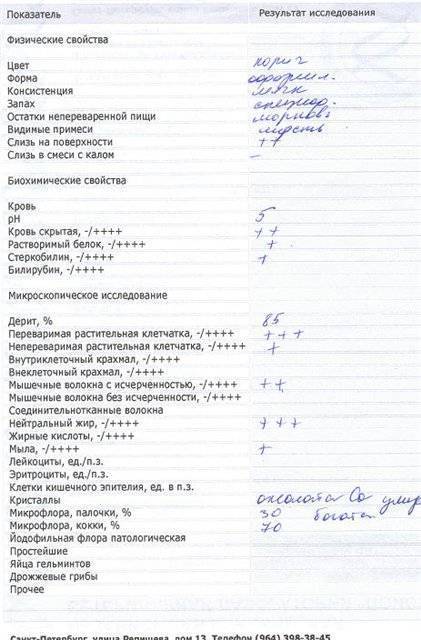 Развитие йодофильной патологической флоры: о чем говорят результаты анализов кала - мир бактерий