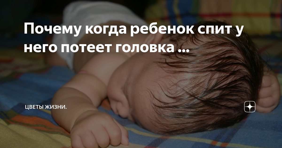 У грудничка сильно потеет голова во время кормления или сна: причины