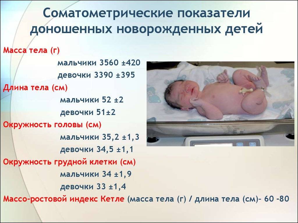 Первые и повторные роды: на какой неделе рожают? во сколько недель рожают ребенка