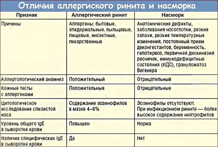 Аллергия на собаку у ребенка: симптомы и лечение