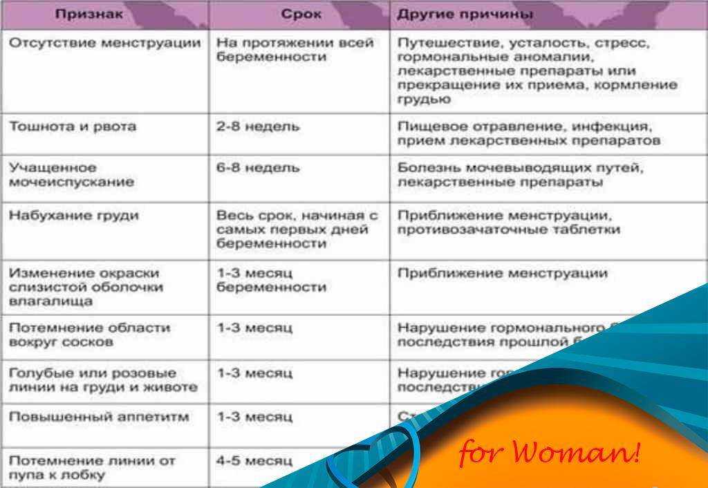 Маленький живот при беременности: нормы и отклонения, признаки отставания / mama66.ru