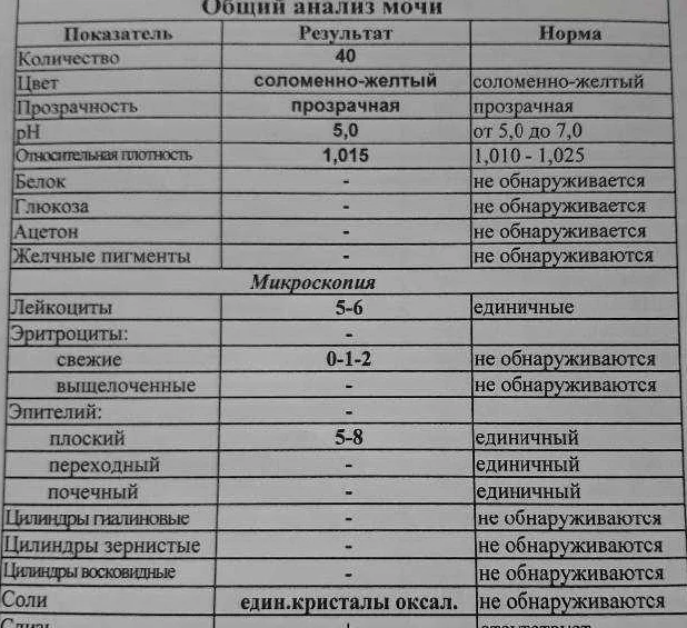 Вгкб № 2
