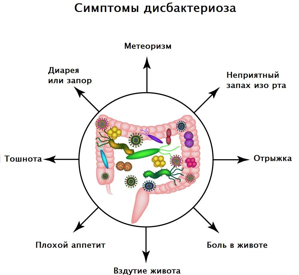 Дисбактериоз у детей - симптомы болезни, профилактика и лечение дисбактериоза у детей, причины заболевания и его диагностика на eurolab