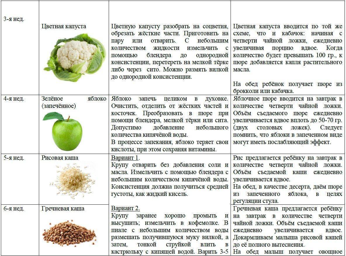 Пюре из капусты для грудничка: рецепты