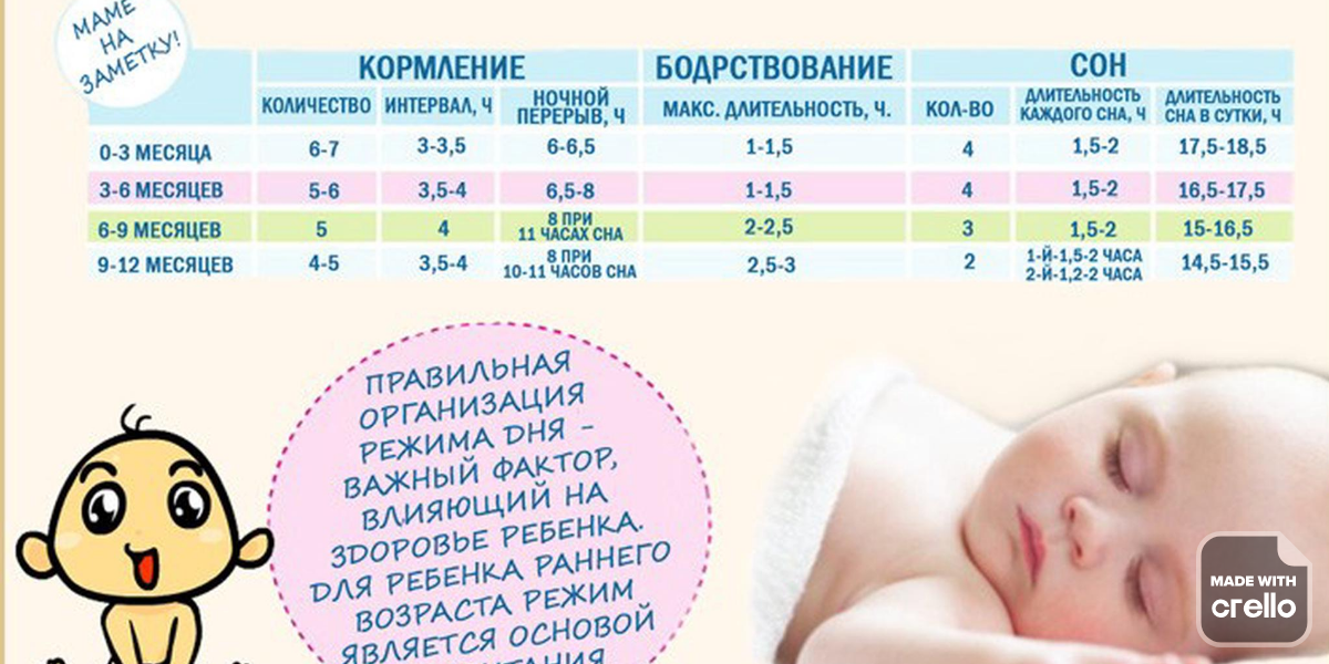 Развитие ребёнка в 2 месяца: 8 развивающих занятий от врача-педиатра