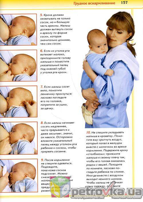 Как правильно держать новорожденного ребенка: столбиком, при подмывании и кормлении