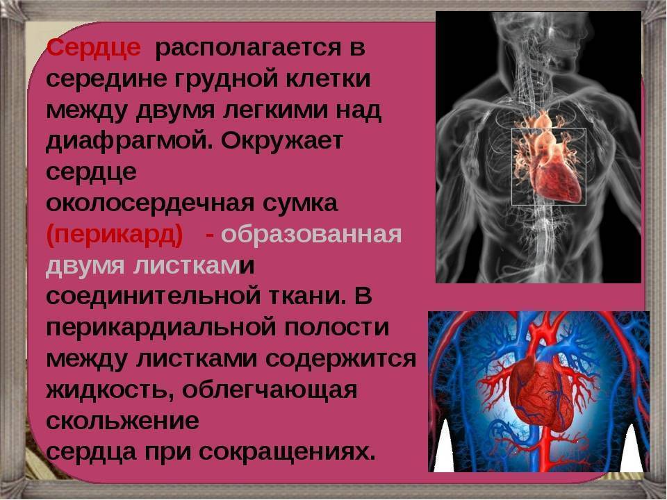 «сердечные» проблемы у подростков: насколько они опасны?