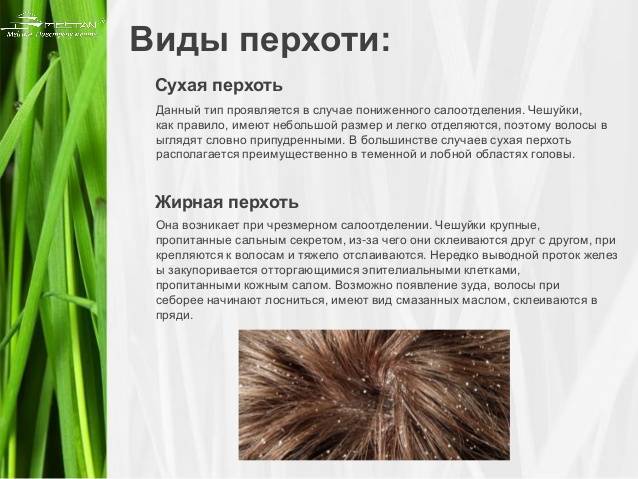 Как можно увлажнить кожу головы, чтобы избавиться от сухости и убрать ее причины: что делать для питания, увлажнения очень сухих волос, которые сушатся и выпадают после мытья – чем ухаживать, бороться и лечить проблему в домашних условиях