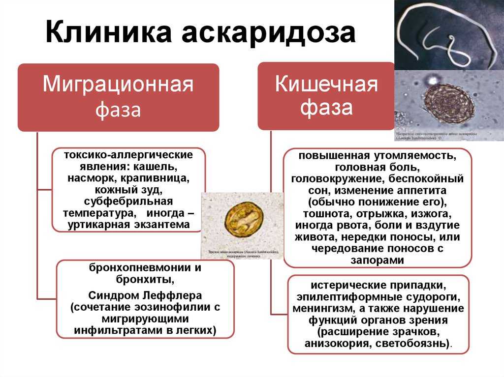 Симптомы наличия глистов в организме ребенка, причины появления паразитов у детей, лечение и профилактика гельминтоза